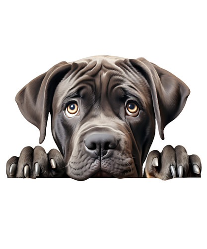 Adesivo cane corso - adesivo,