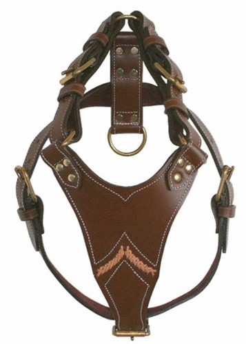 Imbracatura gladiatore pit - imbracatura,