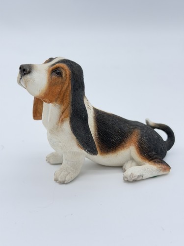 Country artists bassett hound - country,