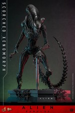 Hot Toys MMS784 Alien Romulus