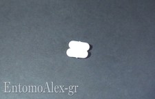 ancoretta magnetica PTFE