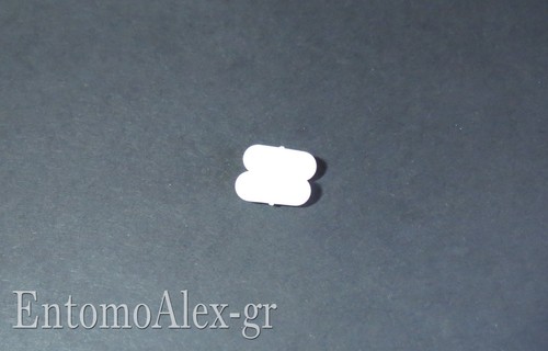 Ancoretta magnetica ptfe - ancoretta,