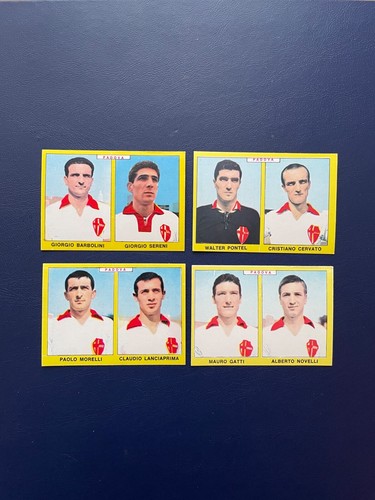 Panini calciatori 1966 - panini,