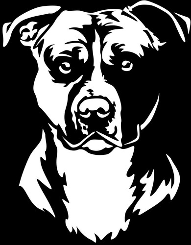 Adesivo american staffordshire - adesivo,