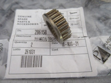 286158 PULEGGIA DENTATA X