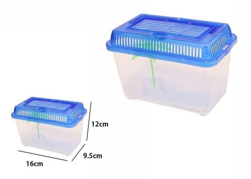 Contenitore vaschetta acquario - contenitore,
