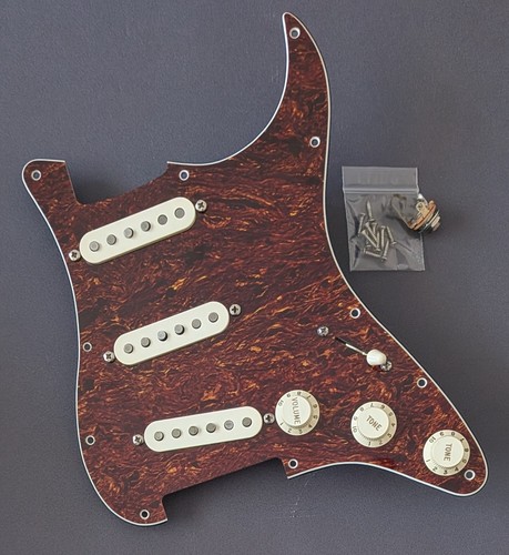 Parafango custom shop - shop, 69