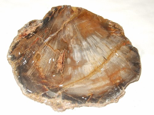 Minerali grezzi - minerali,