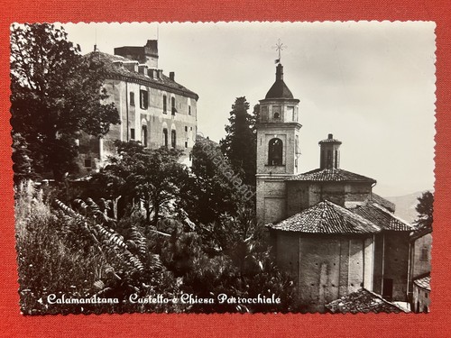 Cartolina calamandrana - calamandrana, (