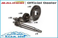 Primary Gears Malossi Short