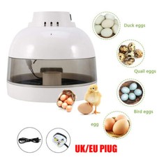 Incubatrice per uova 220 V