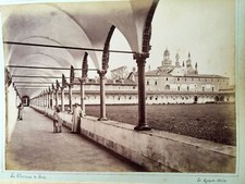 Pavia Certosa Animate 2 Foto