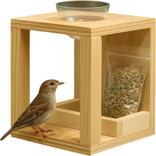 Mangiatoia per Uccelli Da