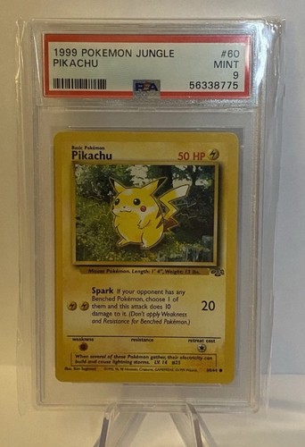 Pikachu jungle pokemon - 60/64,