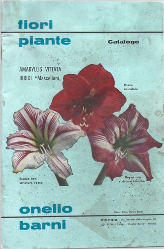 Catalogo onelio barni - n°77,