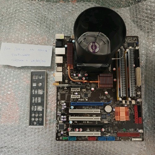 Scheda madre asus - scheda, cpu