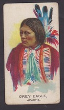 Indian Chiefs,no.7 Grey