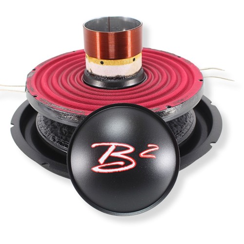 Audio cone kit - b2, re-cone