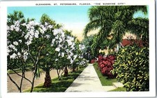 Oleandri St Petersburg Florida