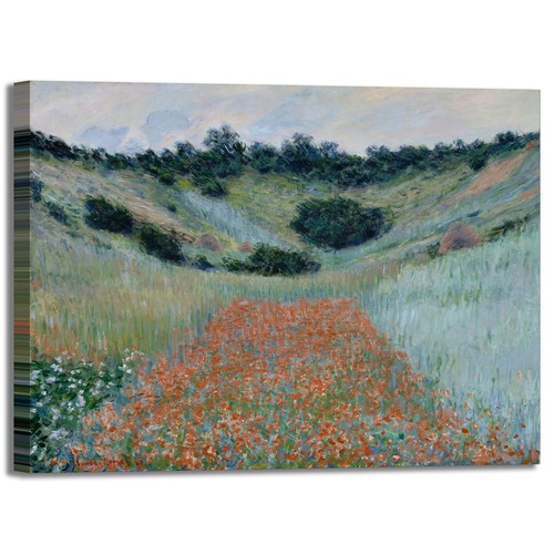 Monet campo papaveri in - campo,