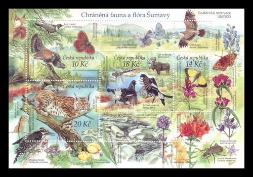 Repubblica ceca 2011 - 2011,
