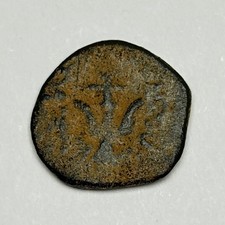 GIUDEA ACARO DELLA VEDOVA