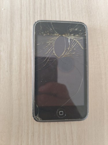 Apple ipod touch 1st - apple,
