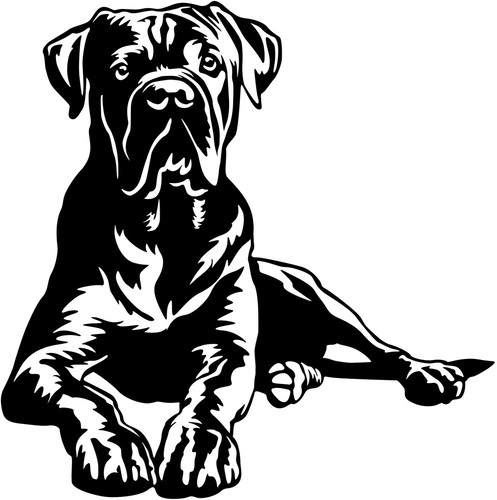 Adesivo cane corso - cane,