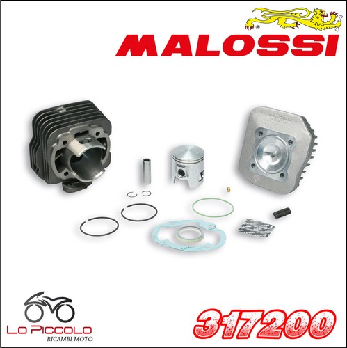 317200 malossi gruppo - malossi, termico