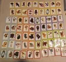 lot 72 cards The Dog 2 by