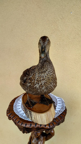Trofeo caccia edredone - trofeo,