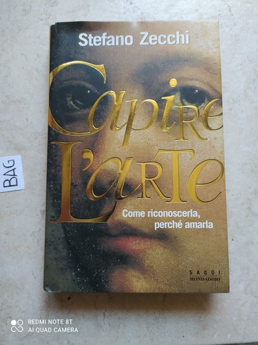 Libro capire arte stefano - l'arte,