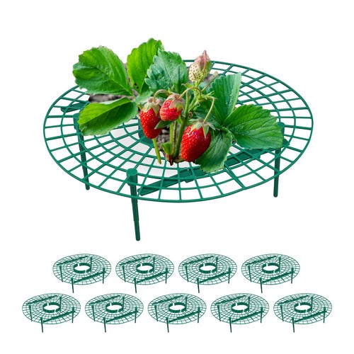 Set anelli supporto fragole - 10,