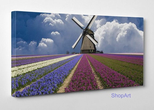 Quadro campo lavanda e - quadro, di