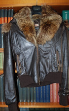 Antares, Bomber, Marrone