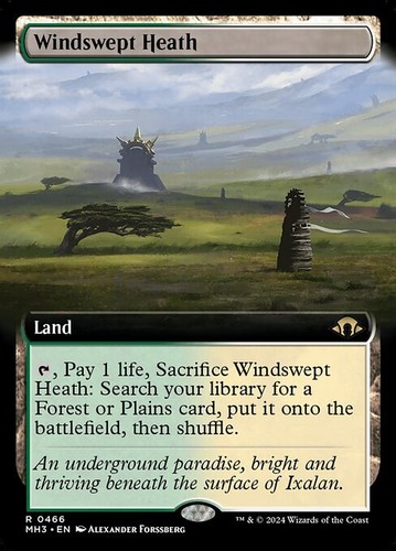 Mtg windswept heath 466 exc - windswept,