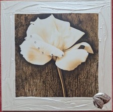 Fiore Dalia - Quadro Stampa su