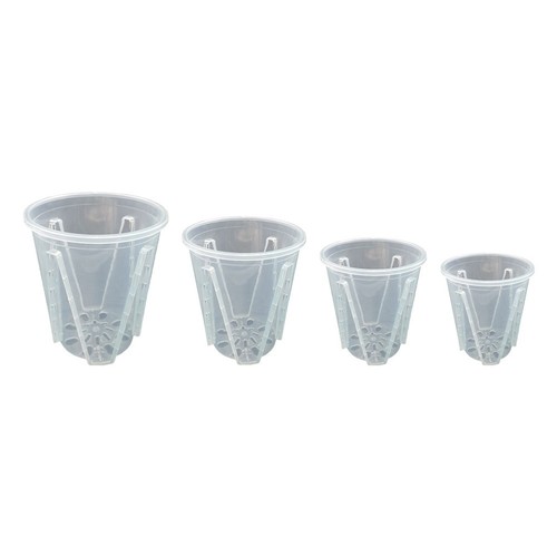 Plastica trasparente orchidea - plastica,