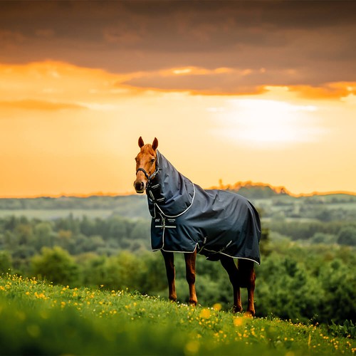 Horseware amigo ripstop - horseware, 900d