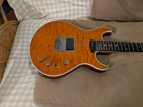 Rich exclusive guitar us - rich,