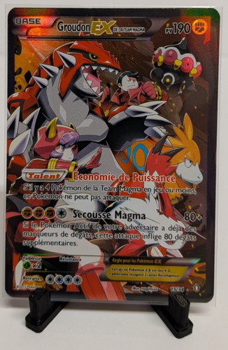 French pokemon team magma s - french,