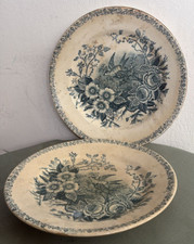 Coppia antichi piatti in - antichi,