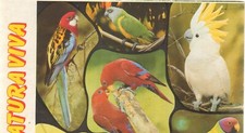 Album figurine. Natura Viva