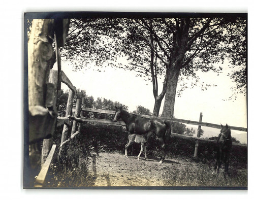 France near cogolin original - near,