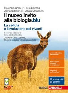 Nuovo invito alla - nuovo,