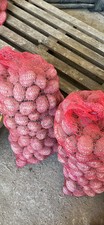 Patate semina - patate, da
