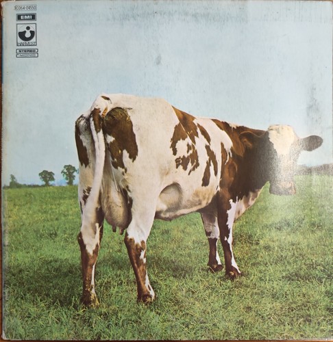 Pink floyd atom - pink, –
