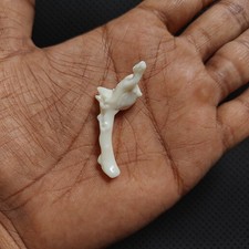 Pietra preziosa ramo di