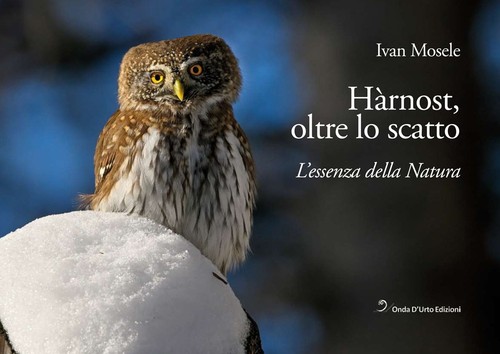 Hàrnost oltre scatto - oltre, lo