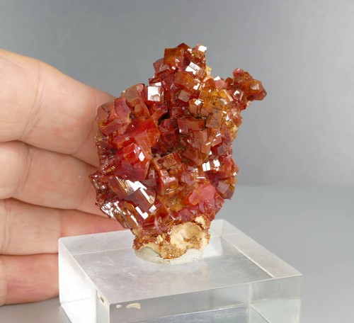 Fine red vanadinite - fine,